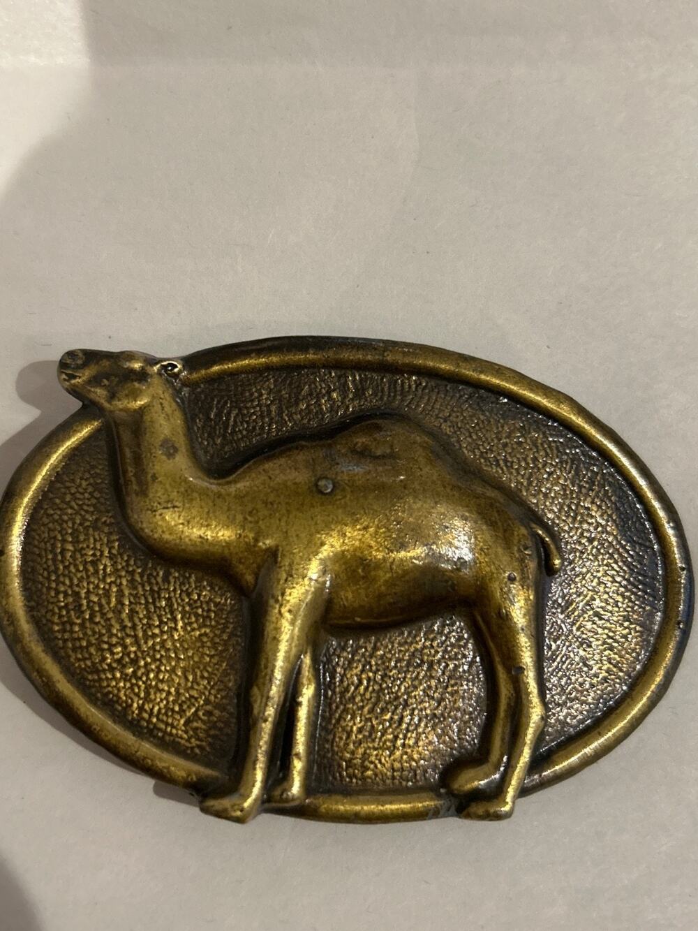 Camel Belt Buckle - looks like vintage Joe Camel Promotional item